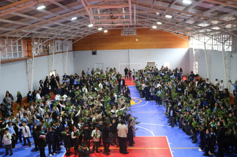 Celebración de Ramos